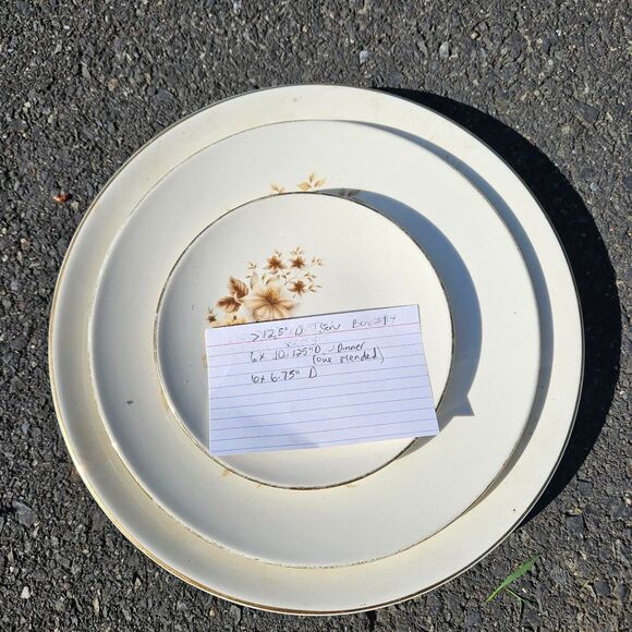 Vintage Victoria Serving Platter and plate set by TAYLOR SMITH and Taylor (TS&T) - Picture 8 of 8